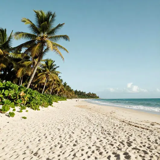 Descubra a Praia da Baleia Descubra a Praia da Baleia
