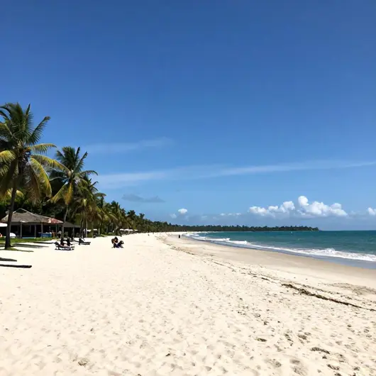 Descubra a Praia de Barra Grande
