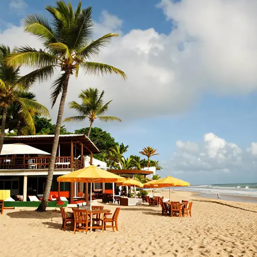 Pesqueiro Beach Club: O Destino Perfeito na Praia dos Amores Pesqueiro Beach Club: O Destino Perfeito na Praia dos Amores